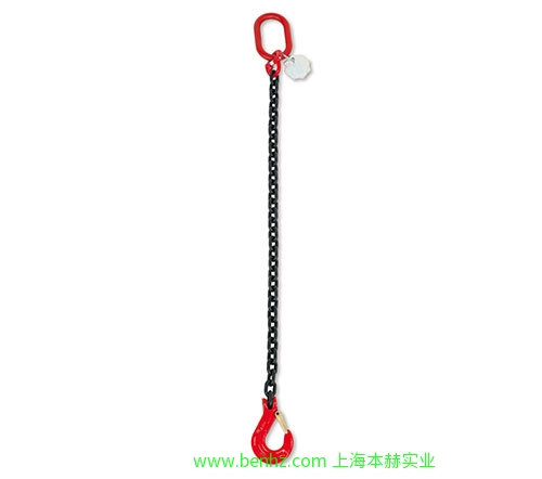 意大利Beta 百塔工具 8064 带舌片旋转货钩 8065 SC-旋转钩 8074 电镀锌DIN5299 C型卸扣（葫芦型）8080  电镀锌链条扣 8082 电镀锌圆形吊环 8083 -电镀锌S型挂钩 8085 强力环 8086 级子母环 8091吊索链 8092吊索链，2条箱装 8094吊索链，4条箱装 8096吊索链，1条箱装 8097-吊索链，两条箱装